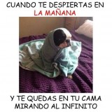 23ce46ab2018373d68653d4b60416b6b