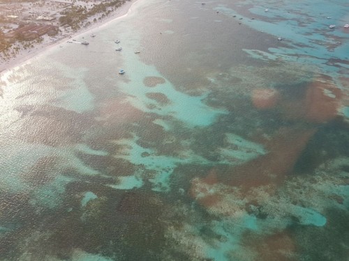 Punta-Cana-corales.jpg