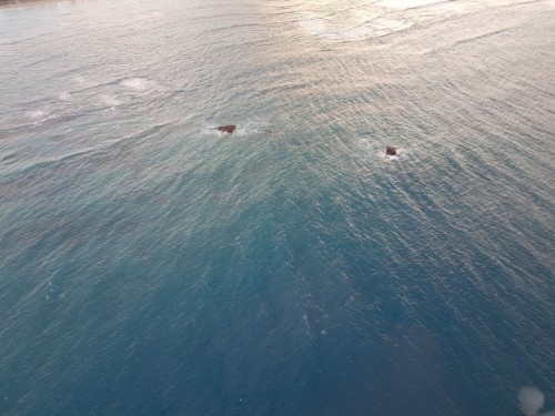 Punta-Cana730d79a3c3d61c25.jpg