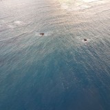 Punta-Cana730d79a3c3d61c25