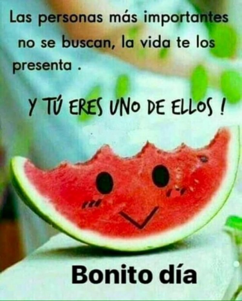 frase-bonita.jpg