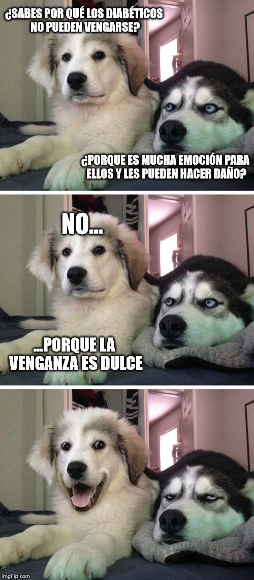 chistes-de-perros.jpg
