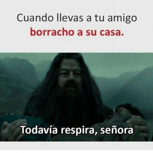 cuando-llevas-a-tu-amigo-borracho-a-su-casa.jpg