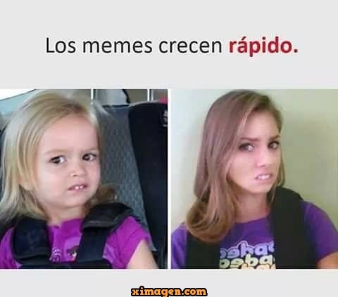 los-memes-crecen-rapido.jpg