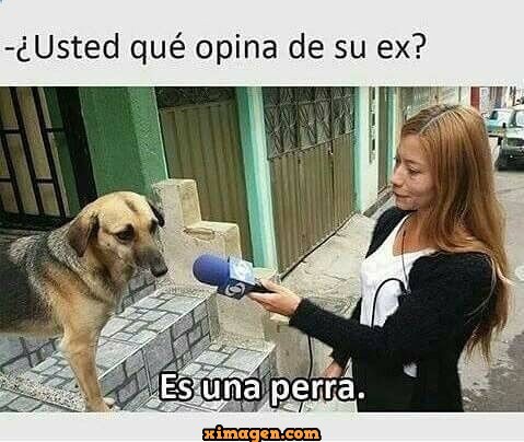 usted-que-opina-de-su-ex.jpg