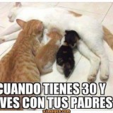 cuando-tenes-30