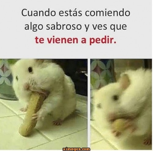 cuando-te-vienen-a-pedir.jpg