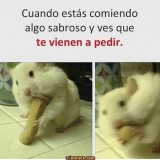 cuando-te-vienen-a-pedir