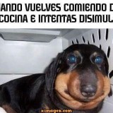 cuando-vuelves-comiendo
