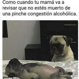cuando-estuvo-bravo-la-peda