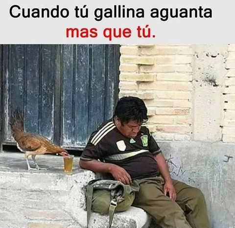 gallina-borracha.png