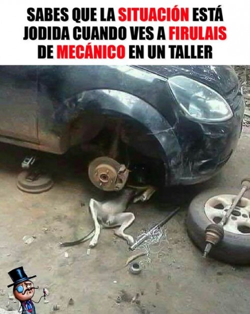 firulais arreglando el coche