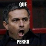 que-perra