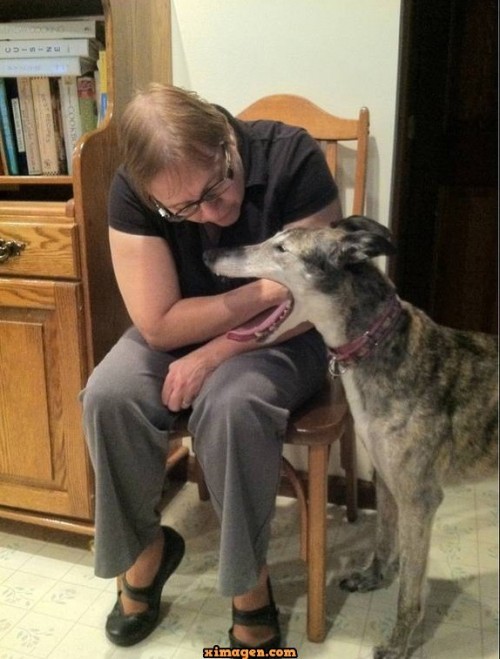 perro-le-come-el-brazo.jpg