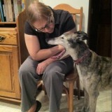 perro-le-come-el-brazo