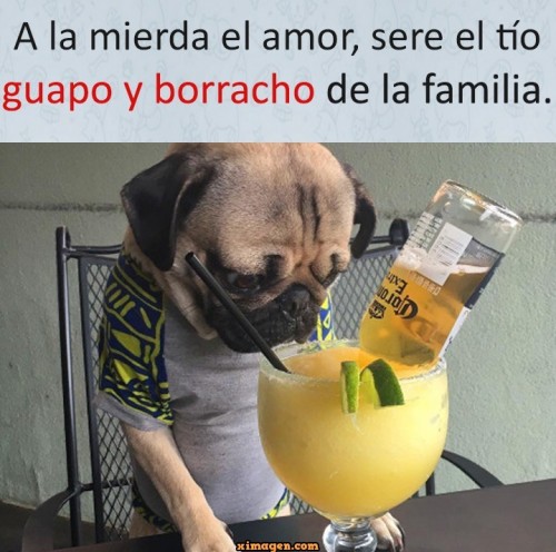 a-la-mierda-el-amor.jpg