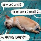 odio-los-lunes