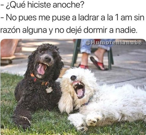 que-hiciste-anoche.jpg