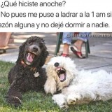que-hiciste-anoche