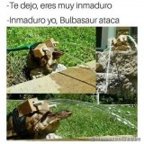 inmaduro