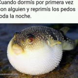 Cuando-reprimis-pedos