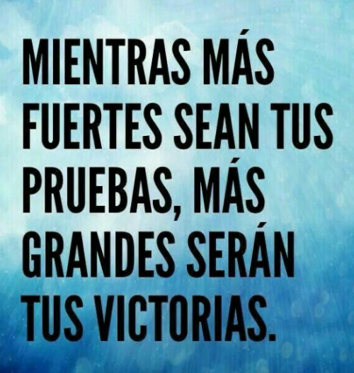 frases-de-la-vida.png