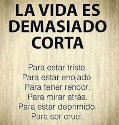 la-vida-frase.png