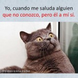 cuando-te-saluda-un-extrano