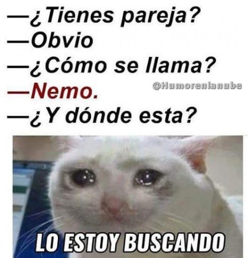 nemo.jpg
