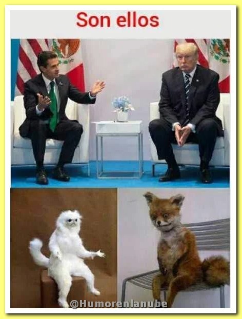 son-ellos.jpg