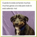 hechandole-ganas