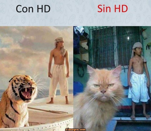 con hd y sin hd