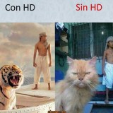 con-hd-y-sin-hd