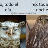 yo-todo-el-dia
