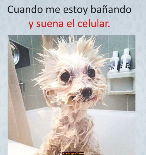 cuando me estoy bañando