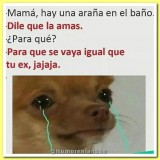 meme-de-tu-ex