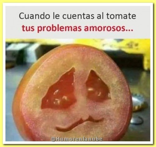meme-de-tomate.jpg