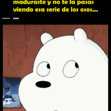 memes-del-oso