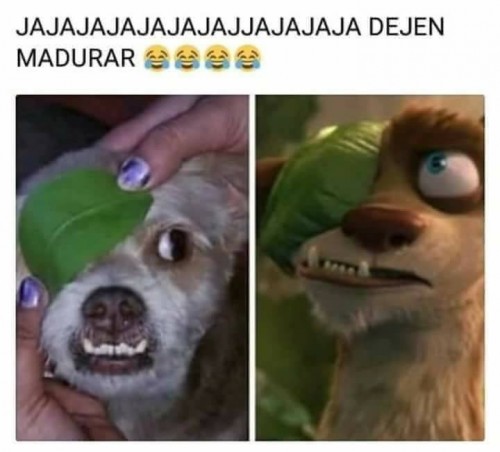 no jodas
