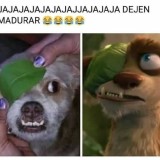 no-jodas