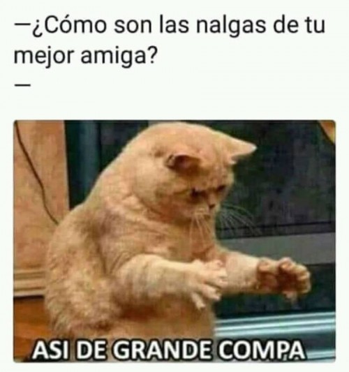 como son las nalgas de tu mejor amiga