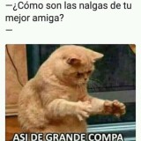 como-son-las-nalgas-de-tu-mejor-amiga