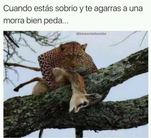 cuando estas sobrio y te agarras a una morra bien peda