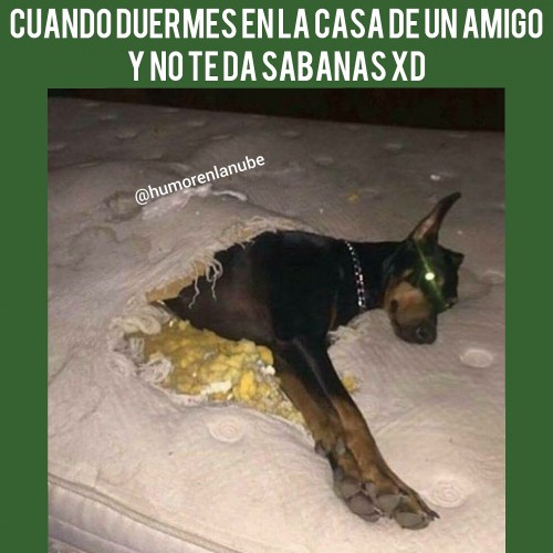 meme cuando duermes en la casa de tu amigo y no te da sabanas
