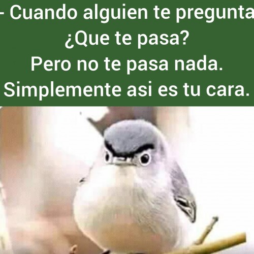 meme-cuando-alguien-te-pregunta-que-te-pasa.jpg