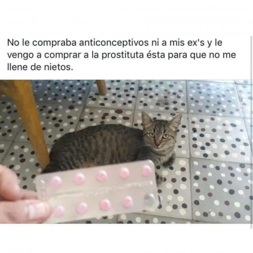ver-memes-en-espanol.jpg