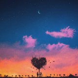 fotos-de-amor