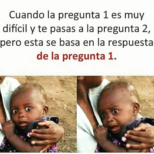 el-mejor-meme-2019.jpg