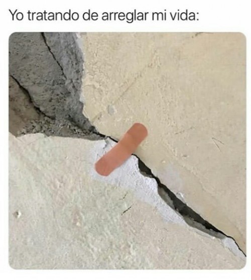 yo-tratando-de-arreglar-mi-vida.jpg