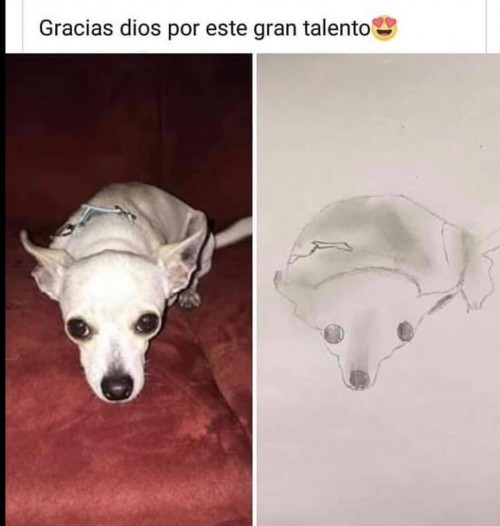 gracias dios por este gran talento